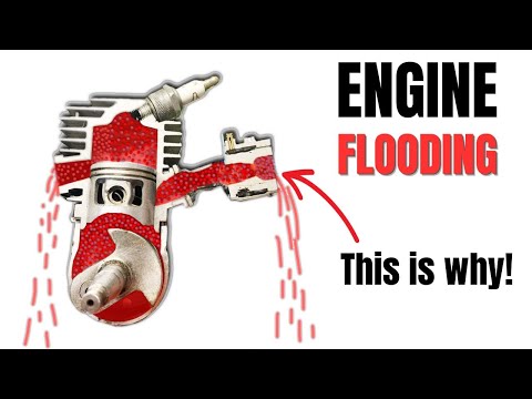 CHAINSAW CARBURETOR LEAKING GAS/FLOODING: Why Carburetor Overflow?