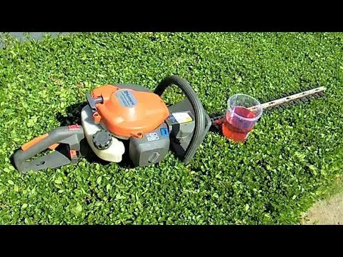 The Best Way To Lubricate Hedge Trimmer Blades (Cost-Effective)