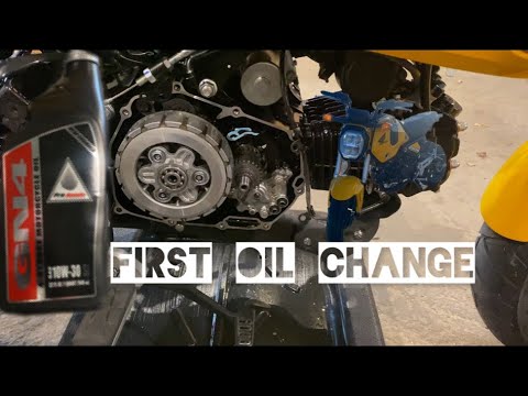 2022 Honda Grom Oil Change and Oil Screen Cleaning!