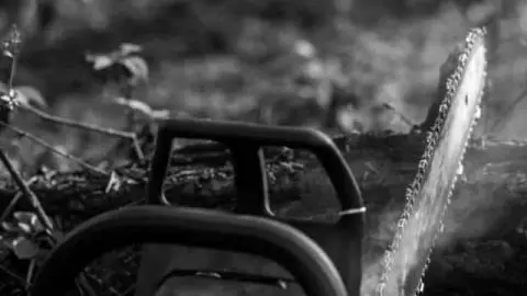 What To Do When a Chainsaw Smokes on Startup