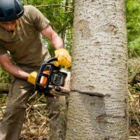 Chainsaw bogging down: causes and how to fix it.