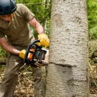 Chainsaw bogging down: causes and how to fix it.