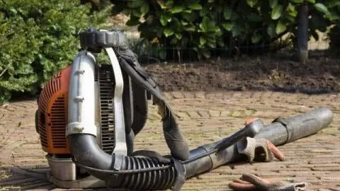 How To Rebuild A Leaf Blower Engine: Complete Guide