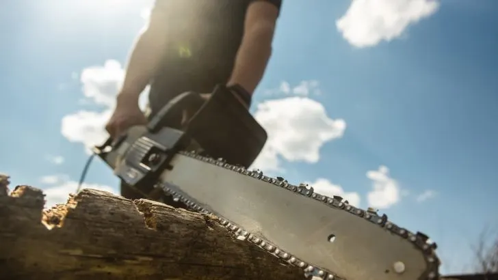 Stihl Chainsaw Cords Keep Breaking? 4 Causes and Solutions