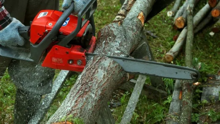 This Is Why Your Chainsaw Keeps Burning Wood