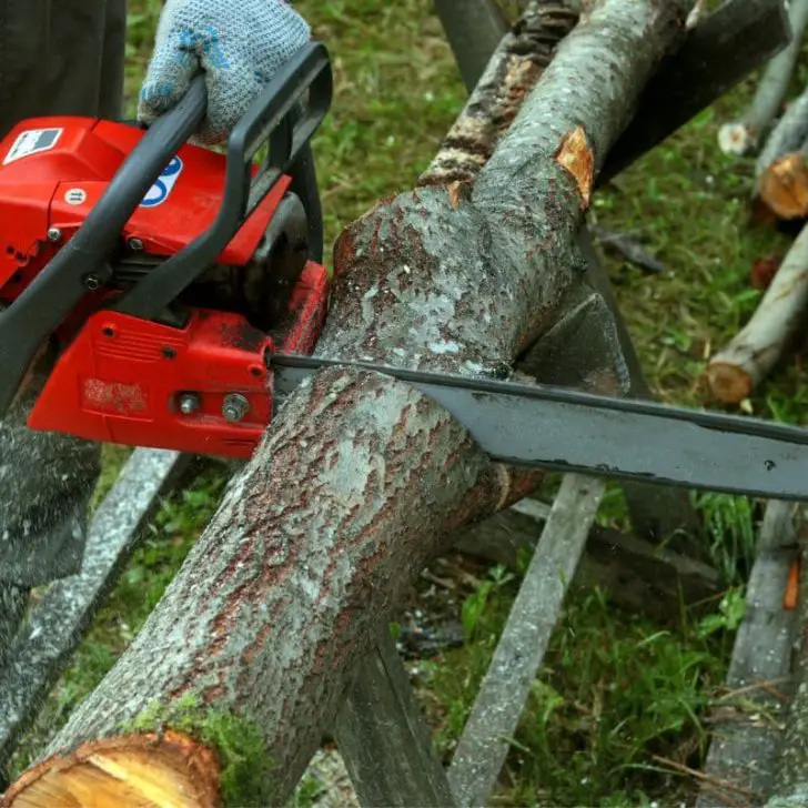 This Is Why Your Chainsaw Keeps Burning Wood – Crankfix.com