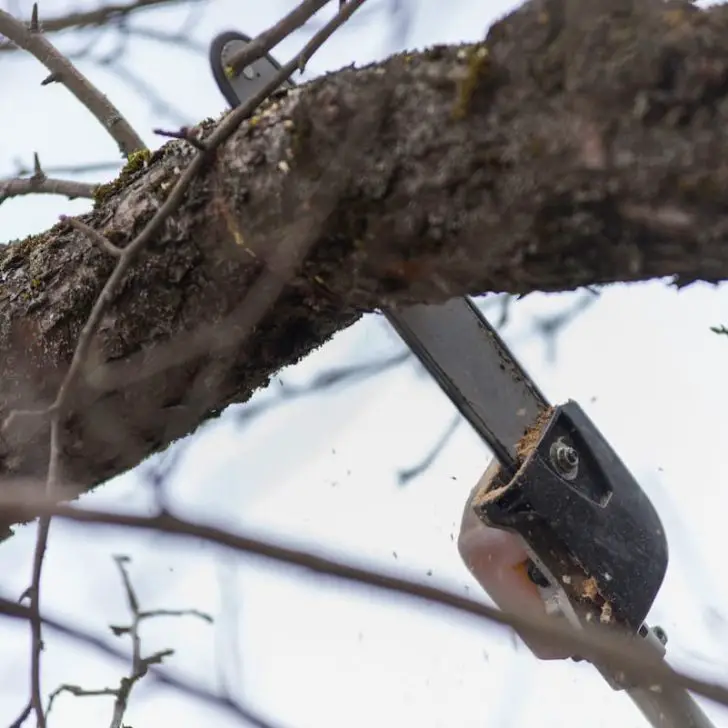 STIHL Pole Saw Chain Stops When Cutting 4 Solutions