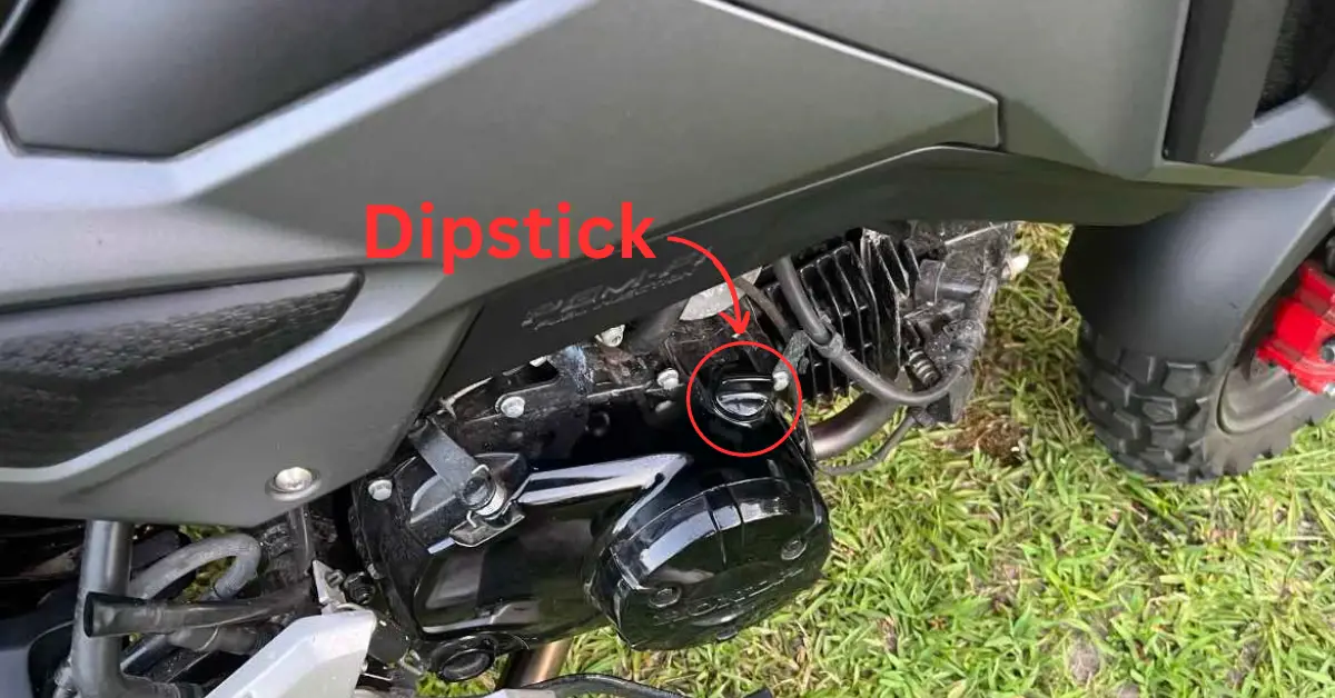 How To Change Oil in Honda Grom Everything You Need To Know