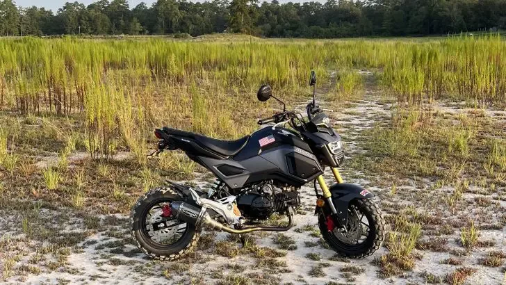 Are Honda Groms Automatic?